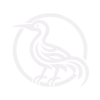 Roadrunner sigil