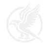 Falcon sigil