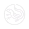 Salamander sigil