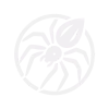 Spider sigil