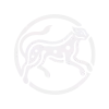 Cheetah sigil