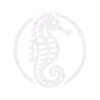 Seahorse sigil