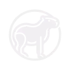 Capybara sigil