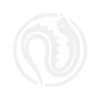 Eel sigil