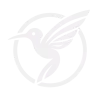 Hummingbird sigil