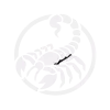 Scorpio sigil