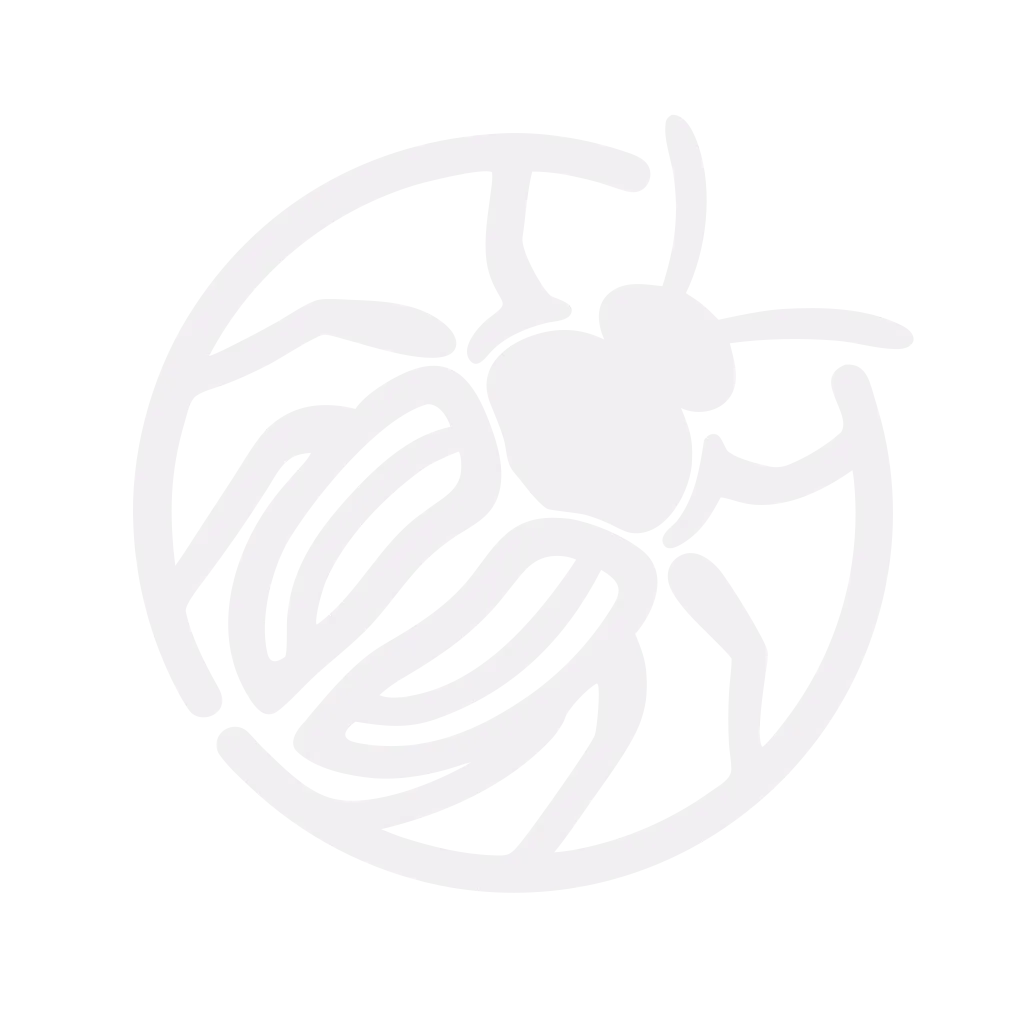 Beetle sigil