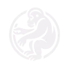 Orangutan sigil